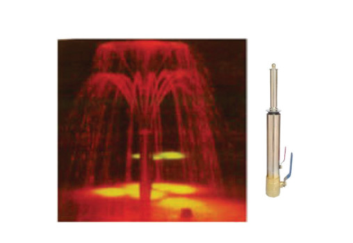 Blossom